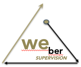 SVEN WEBER – SUPERVISION